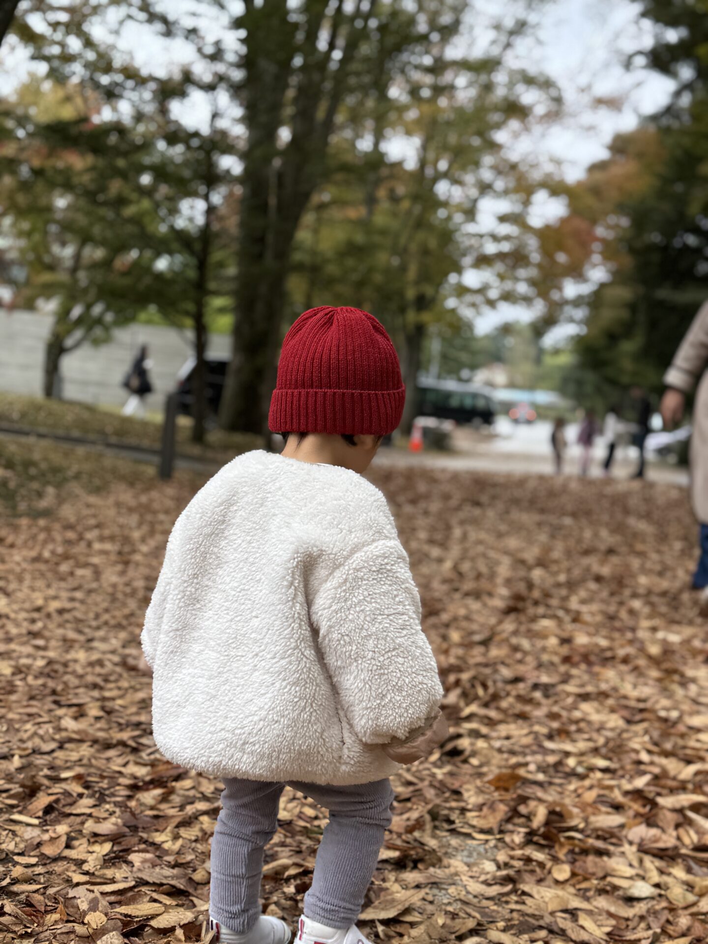 無料宿泊で泊まった軽井沢マリオットの敷地。紅葉の落ち葉のなかを歩く子どもの後ろ姿